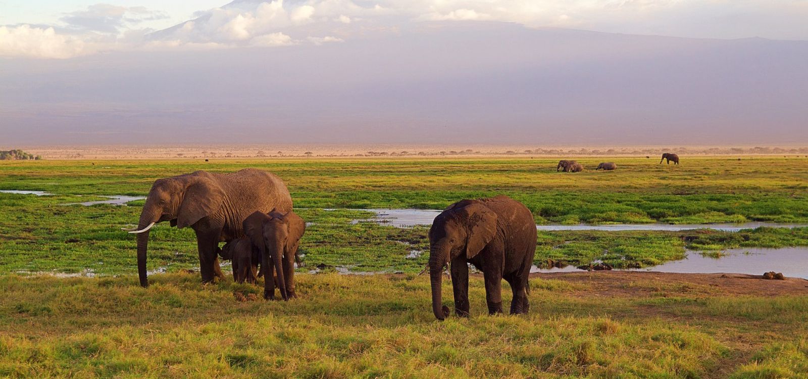 Kenya	