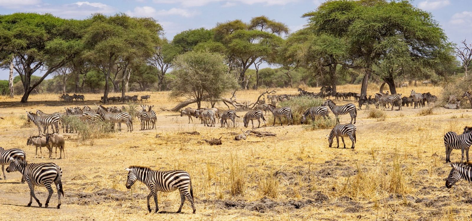 Tanzania