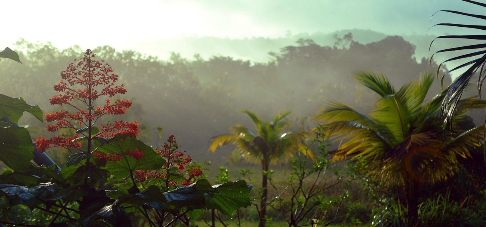 Guyana