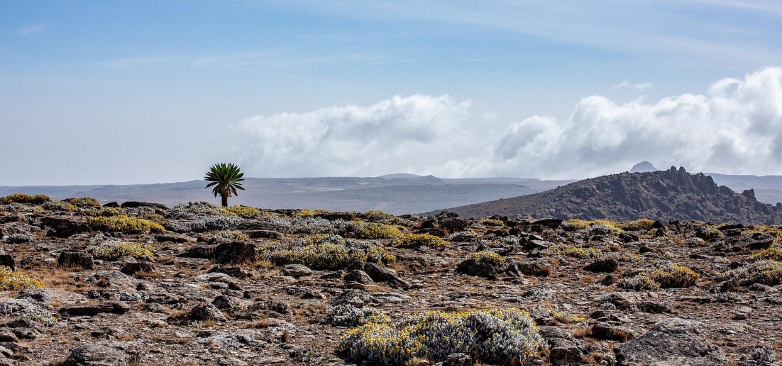Ethiopia